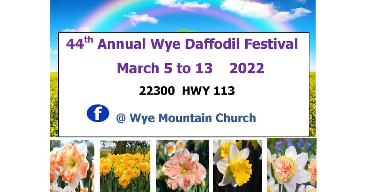 Wye Mountain Annual Daffodil Festival This weekend! Inviting Arkansas