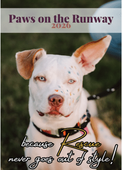 screenshot 2025 08 29 at 7.30.19 pm