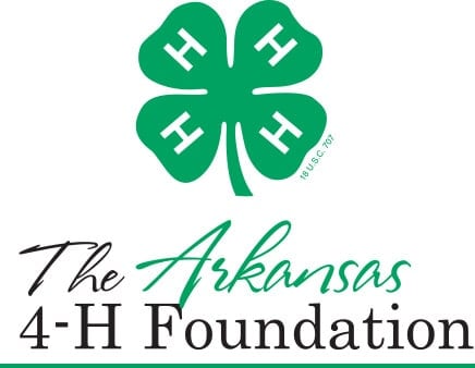 4 h foundation logo